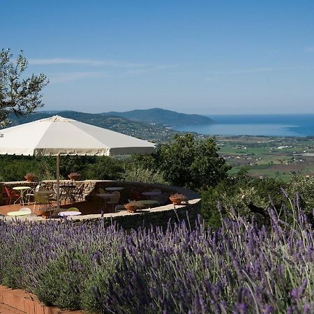 Borgo La Pietraia Hotel Paestum Luaran gambar